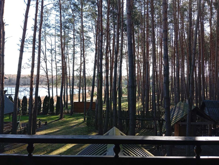 Відпочинок оренда будинку баня на березі озера Велике Облапи