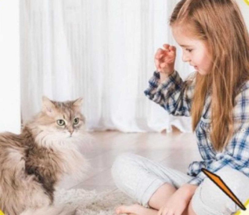 Інтерактивна стимуляція улюбленого котика