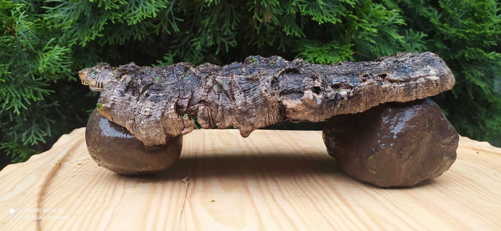 Grota z dębu korkowego 30x9 cm