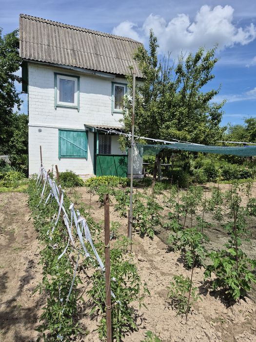 Продаж чудової дачі . 10 сот землі. Березанка