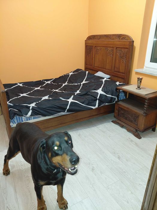 Domek parterowy duża działka na wyłączność. Blisko Lasy , Jeziora