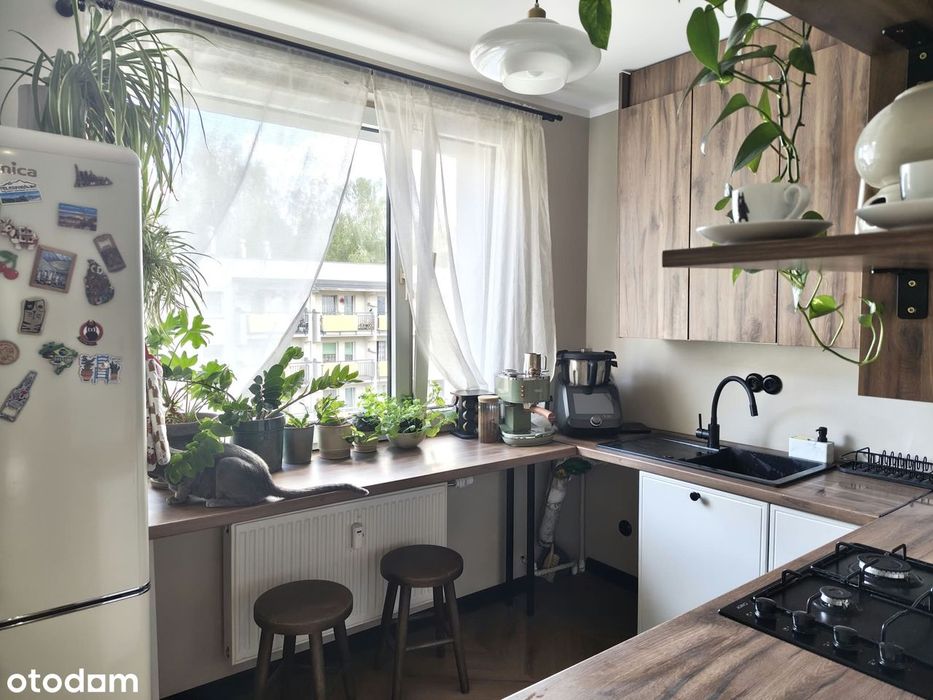 Mieszkanie – Katowice - Widok 4