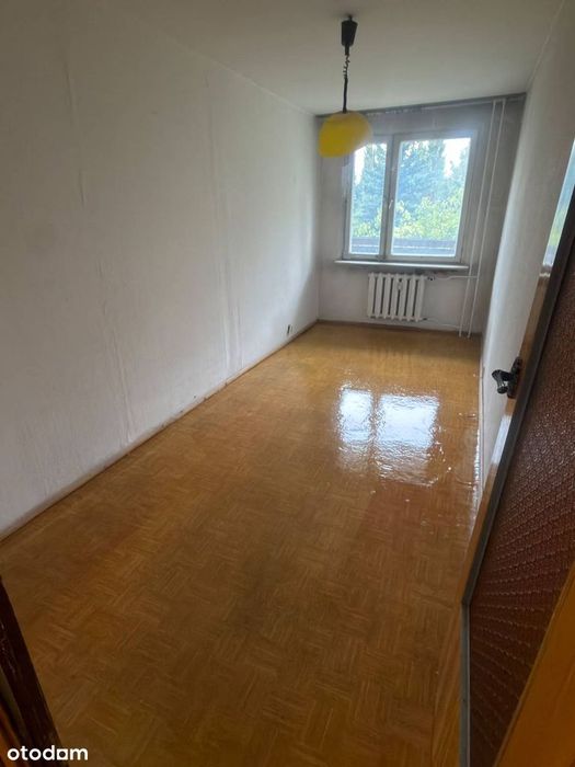 3 pokoje, 53,7m2 od ręki!