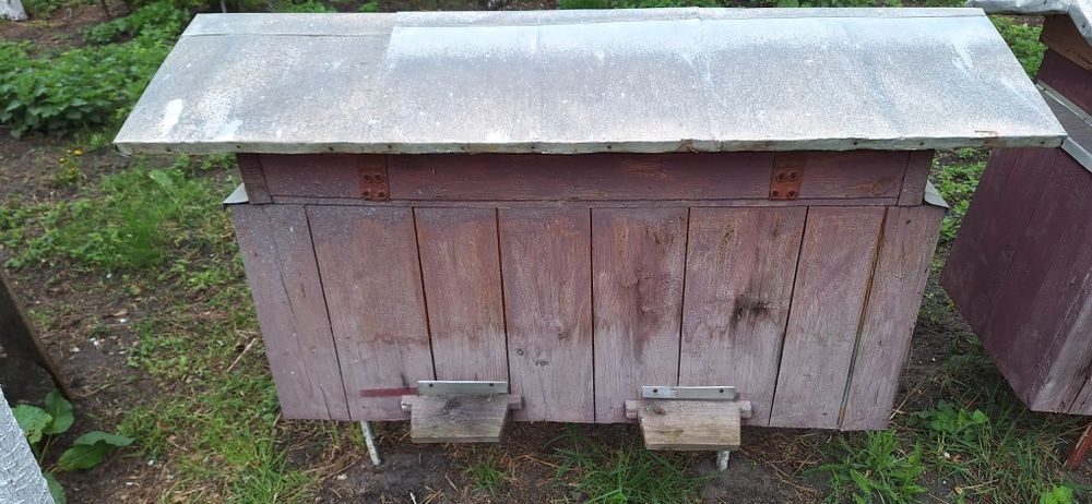 Вулики українки не дорого