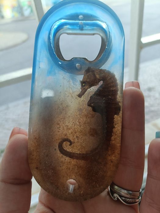 Abre caricas personalizados