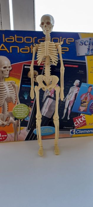 Science Game, Anatomy Laboratory, in Good Condition64738134283905121