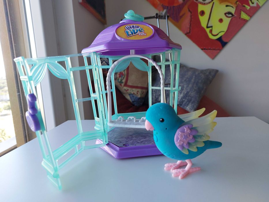 Talking Parrot