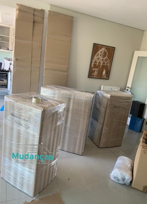 Empresa de Mudanças Profissionais