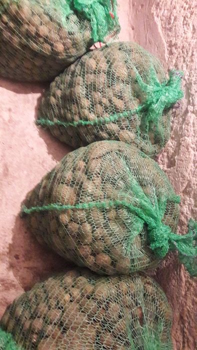 Продам дрібну картоплю, в наявності є  в середньому 200 кґ.