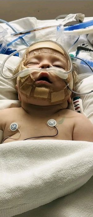 Відгукніться (благаю вас)