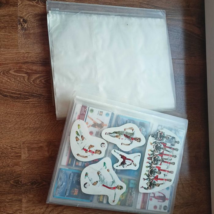 Karty piłkarskie FIFA 365+2 albumy Panini Group