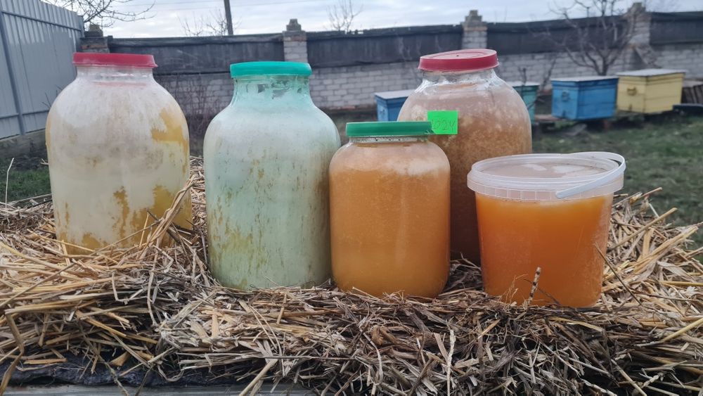 Мед продам Павлоград