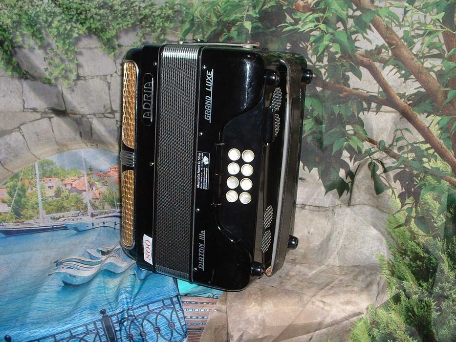 Concertinas a venda N.800