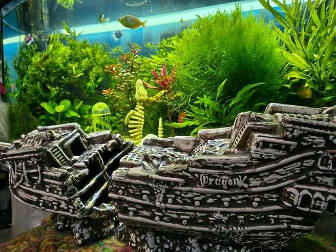 Ogromna galera do akwarium