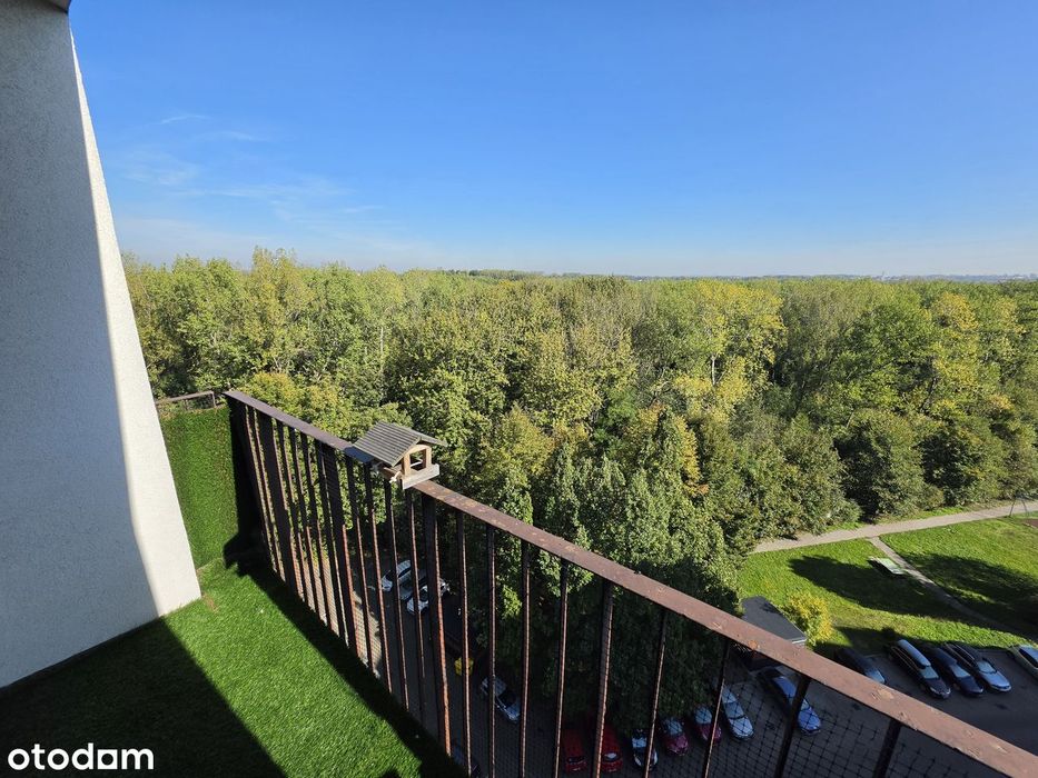 Bezpośrednio | Balkon | Piękny widok | C.O miejskie
