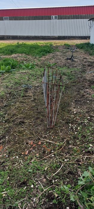 Manjedoura para cabras e ovelhas.