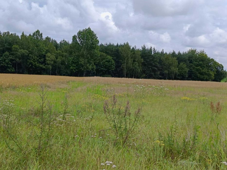 Działka budowlana kilkanaście minut od Gniezna!