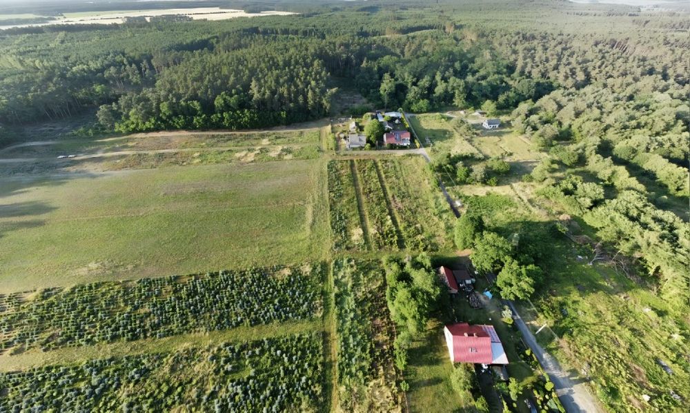 działka budowlana pod lasem