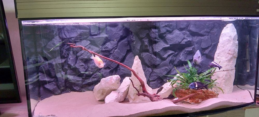 Dekoracja do akwarium - skały