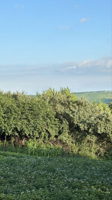 Панорамні  8 сот. с. Красне 1, Київ 35 км