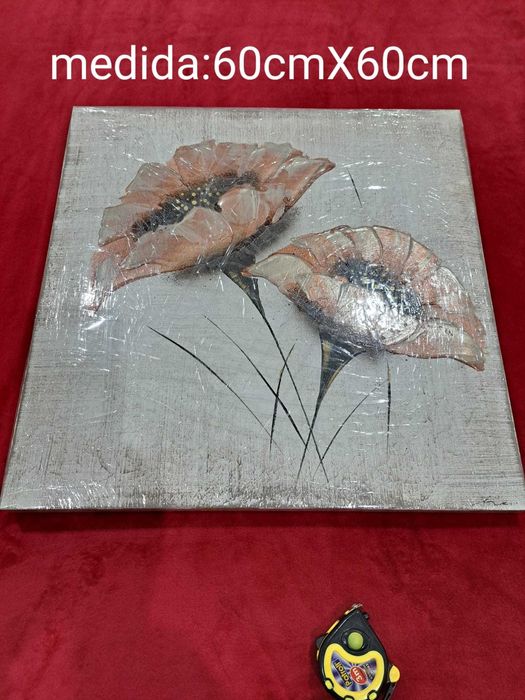 Quadros Decorativos64286450057857121