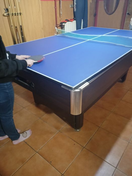 Stół bilardowy/ping-pong