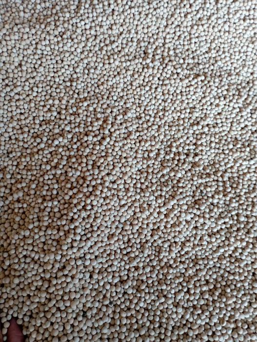 Горох Ессо посевной материал