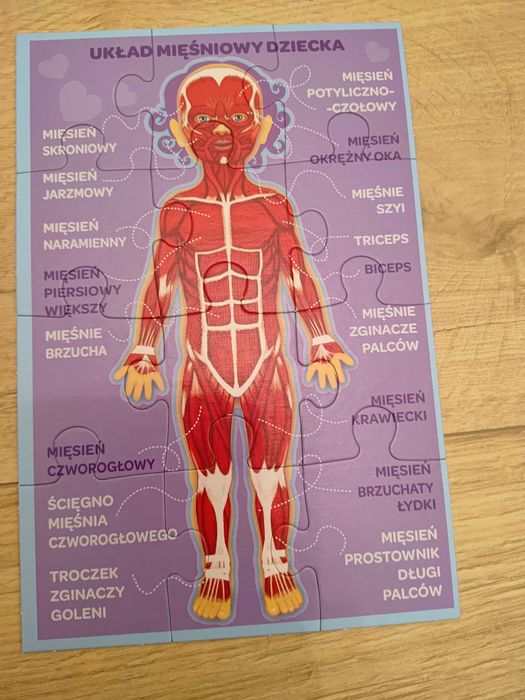 puzzle edukacyjne moje cialo