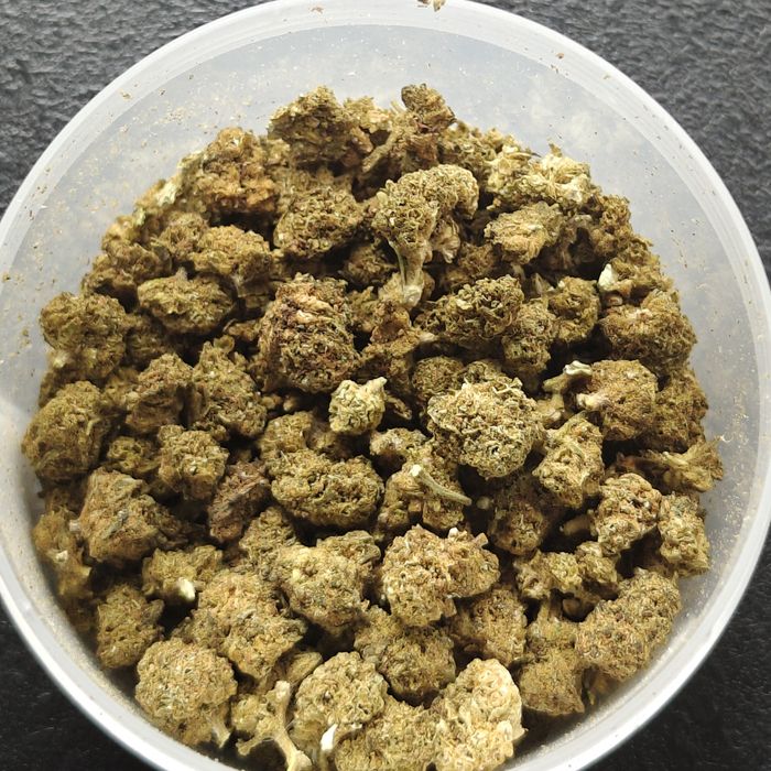 Susz konopny 02THC White Widow 29% CBD