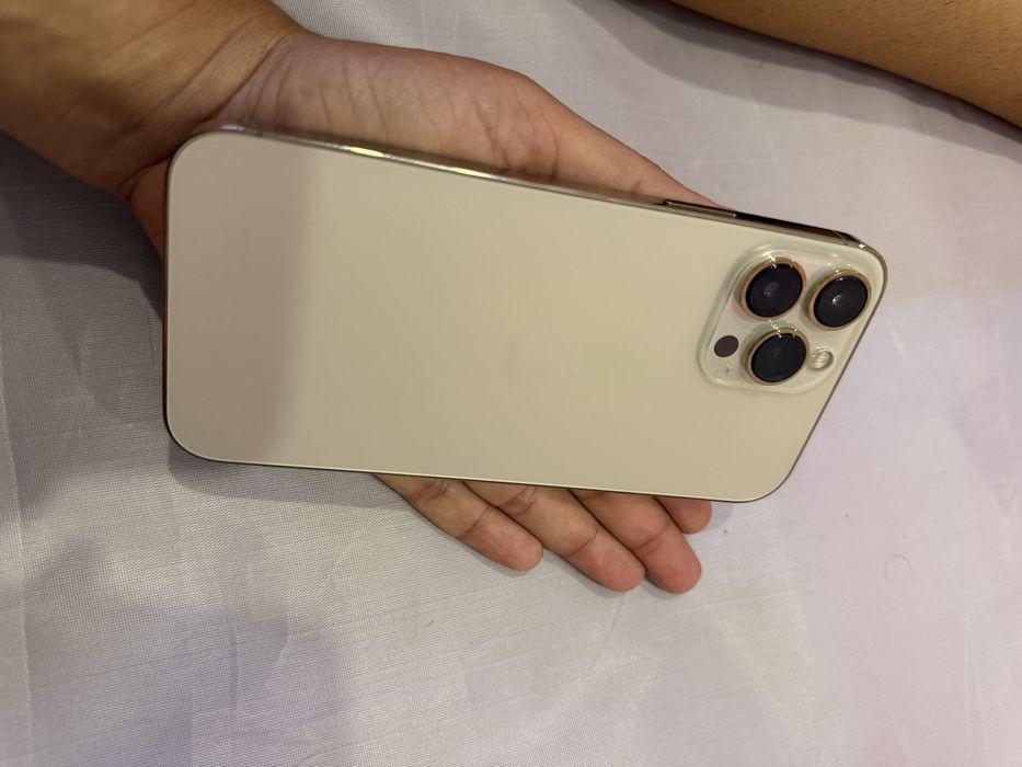 iPhone 13 PRO MAX 256 GB
