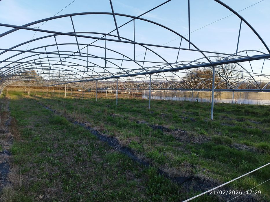 Estufa agricola usada