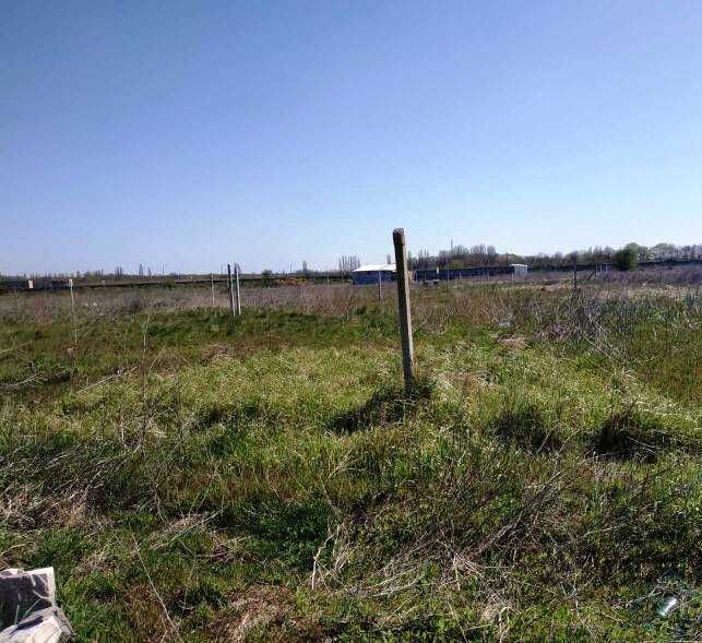 Участок в Царском селе 2