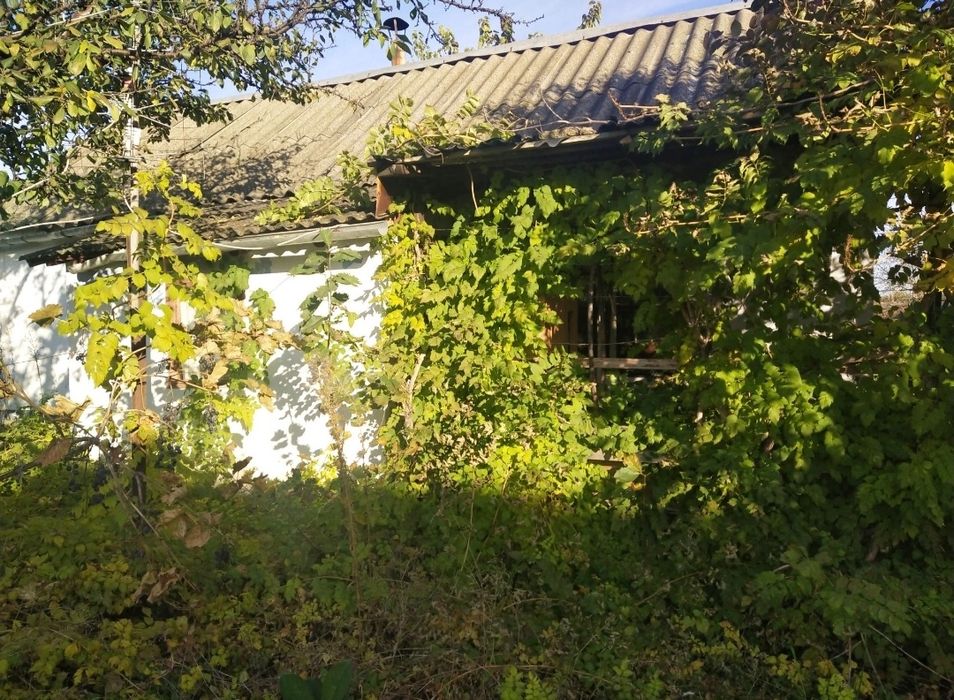 Продається 40 соток землі на центральній вулиці с.Кучурган