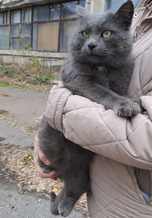 Шукаємо надійних господарів!