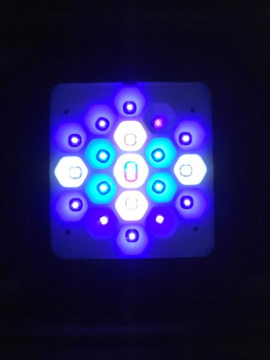 Lampa LED do akwarium morskiego Maxspect RSX 200