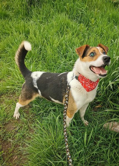 Rio - do zakochania jeden krok! :)