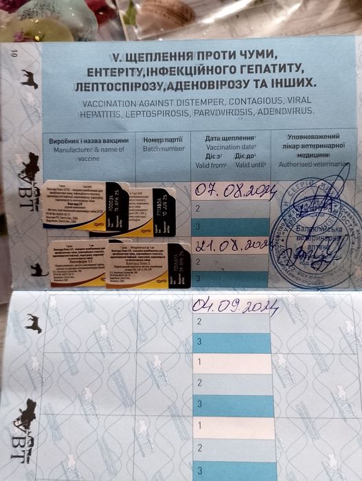 Вязка кабеля. Красавчик ищет сучечку)