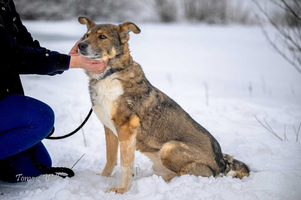 Bezulek nie chce odejść za kratami