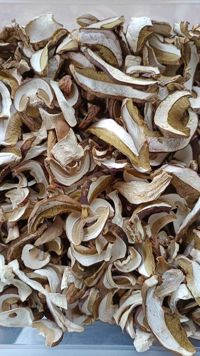 Borowik suszony zdrowy 2024