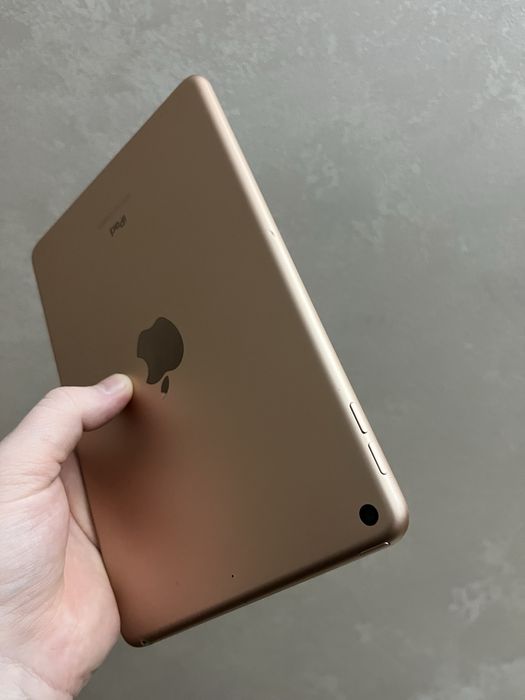 IPad Mini 5 Gold 256Gb