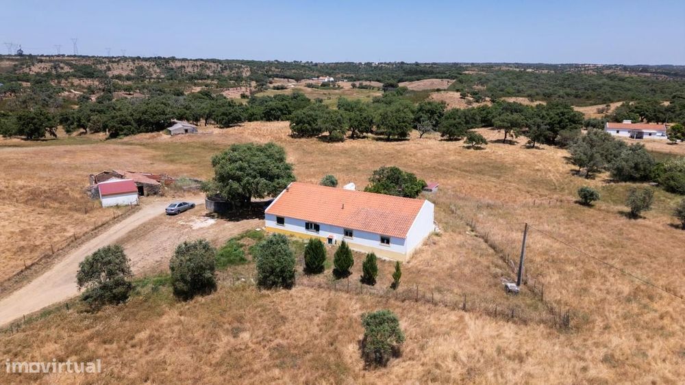 Estate of 18.0 ha in São Francisco da Serra, Santiago do Cacém