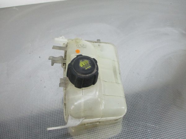 Vaso Expansao / Radiador RENAULT Scénic III (JZ0/1_)