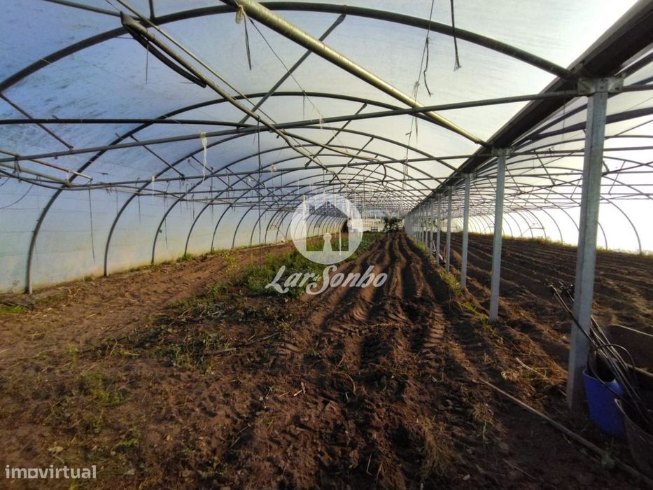 Terreno agrícola em Navais com 1.900m2, na Póvoa de Varzim — Aguçadoura E Navais, Porto