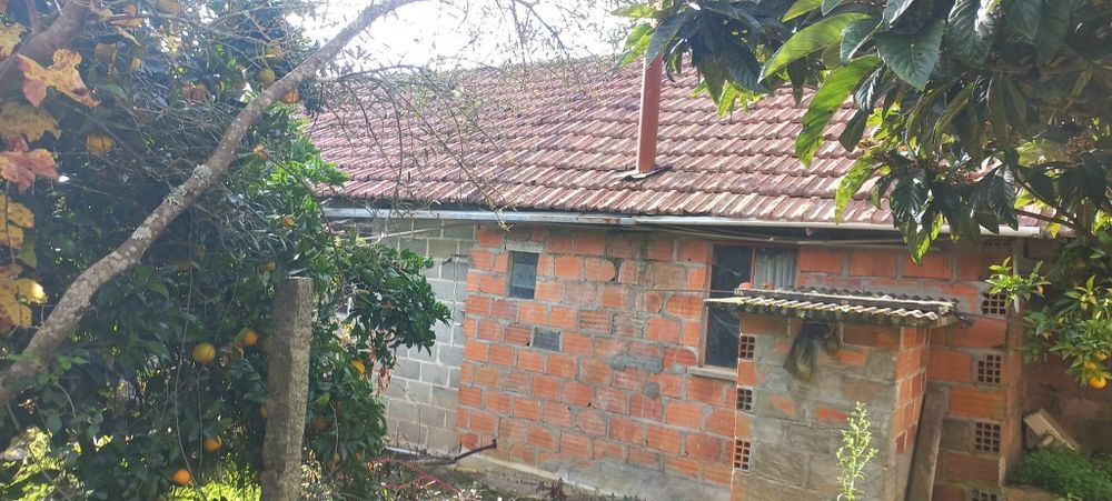 Quinta com casa habitação em Sabugosa-Tondela Tondela