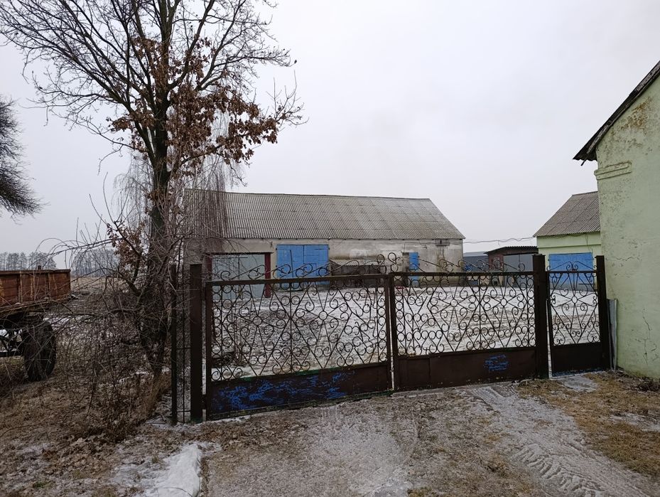 Dom Siedlisko Przywieczrzyn gm. Lubanie