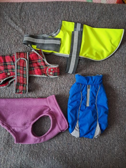 Одежда для собак разных размеров