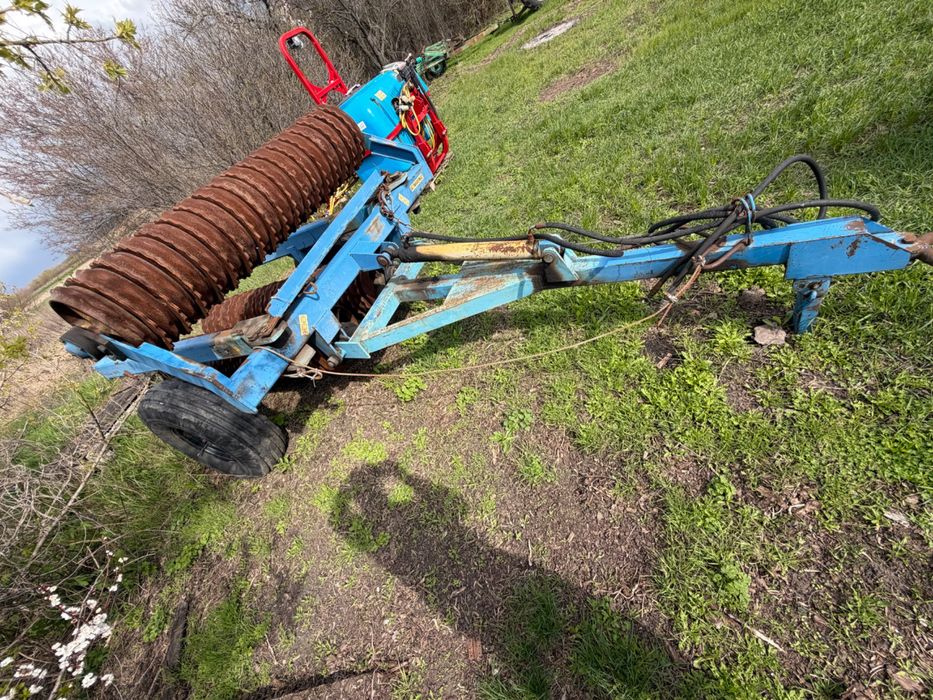 Коток зубчато кільчатий