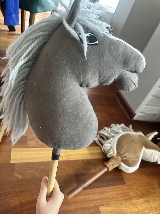 Zestaw trzech hobby horse