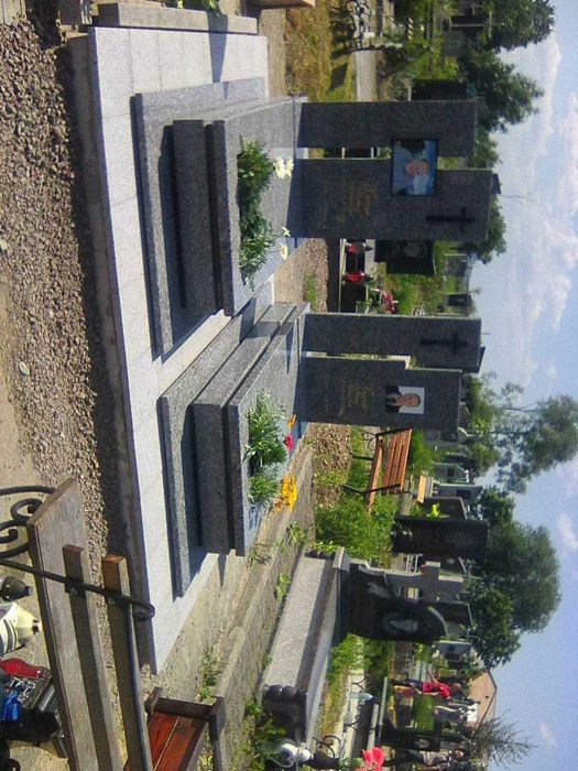 Памятники,бруківка;-Калуш,-Бурштин,-Долина. Фр-ка обл.