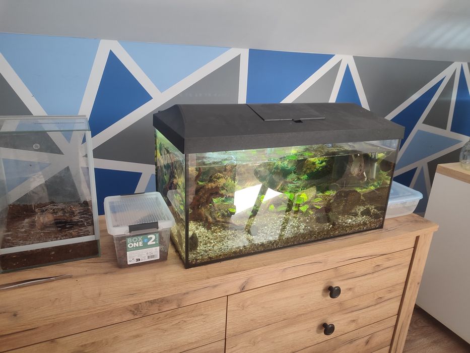 Akwarium 60l z pokrywą